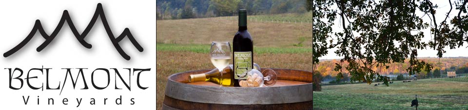 Belmont Vineyards and Winery